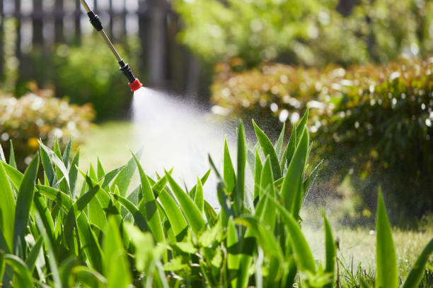 24/7 Emergency Mosquito Control experts in South Williamsport, PA